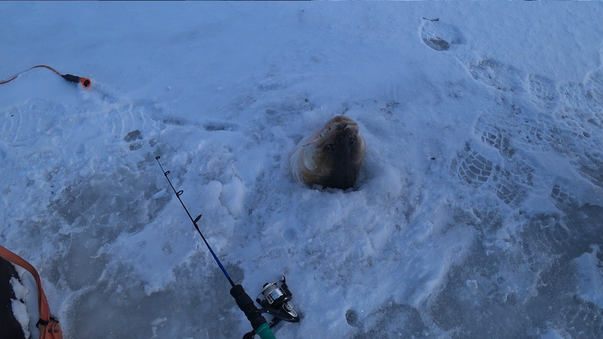 С трудом пролез в 150 лунку!