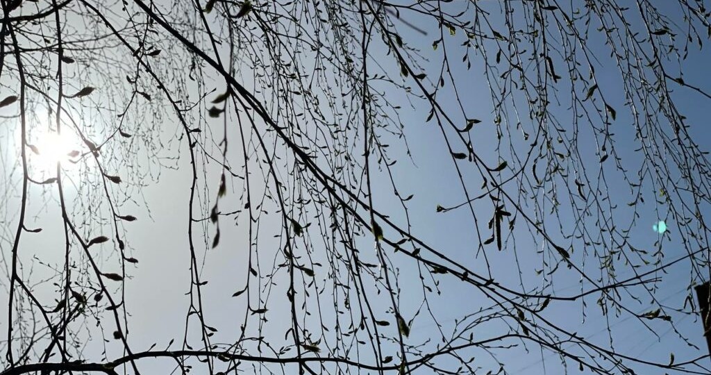 Жара свалится резко уже весной: синоптики ошарашили россиян свежим прогнозом