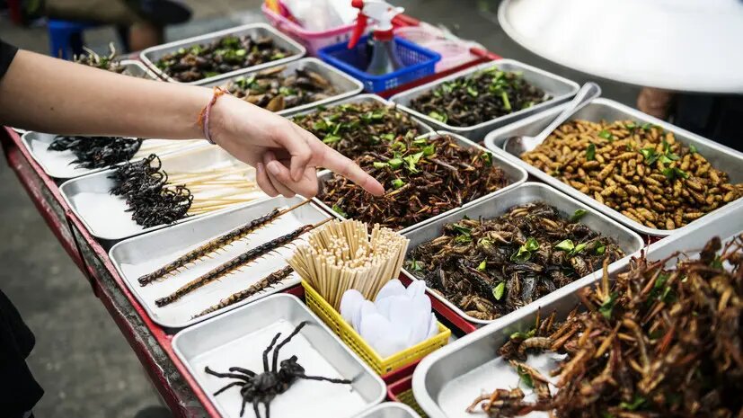    Фото: russian.rt.com Павел Евсеев