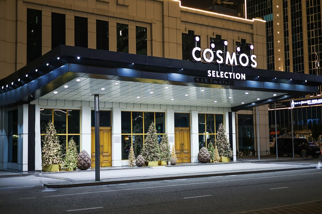 Cosmos Selection Grozny City