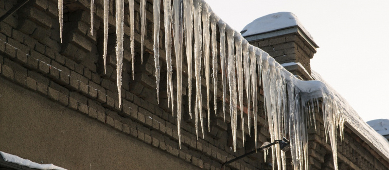    Людмила Корвякова, иллюстративное