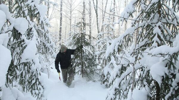    © Sputnik / Александр Кряжев