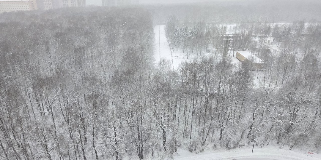 30 декабря. У старшей дочери началась зима