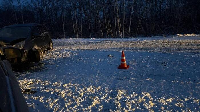 В Омской области четверо взрослых и двухлетняя девочка пострадали в ДТП. Фото © Telegram / Госавтоинспекция Омской области