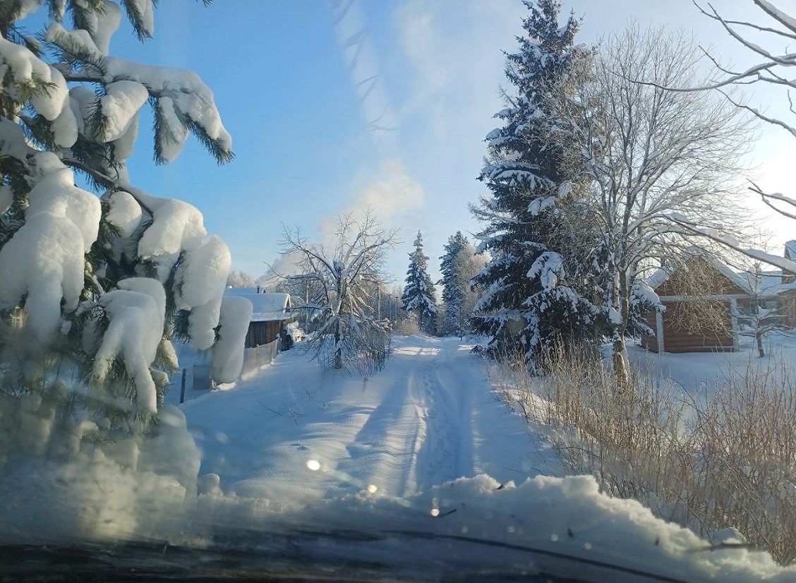 на фото окрестности хутора, где живет ИО Баюы Яги 