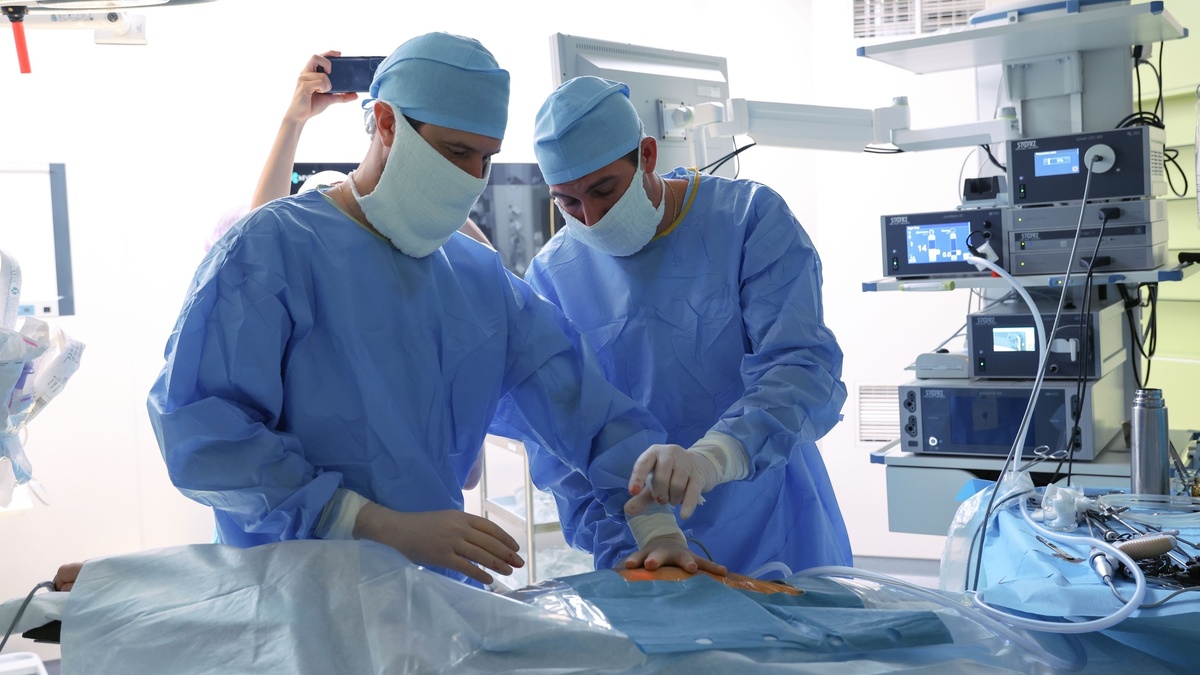    В Нижневартовске врачи делятся опытом в рамках проекта «Наставничество»