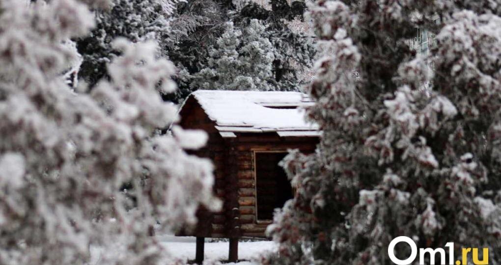 За непогодой в Омскую область придёт похолодание
