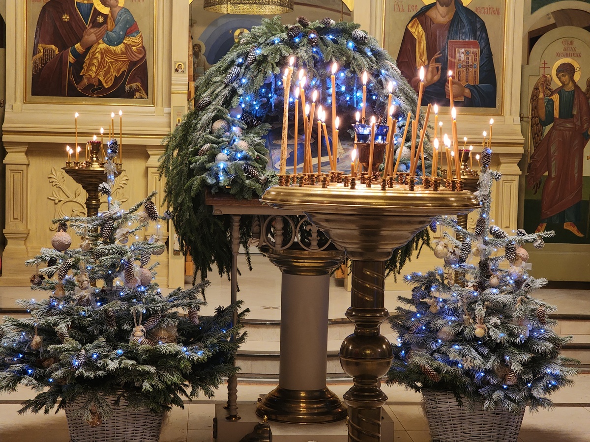    Фото: REGIONS/Иван Петрушин