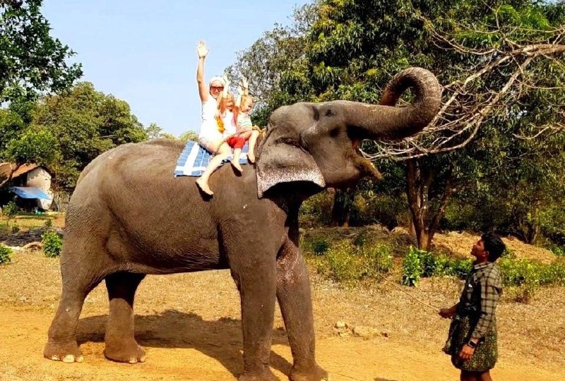 🇮🇳 ОТЛИЧНЫЕ НОВОСТИ