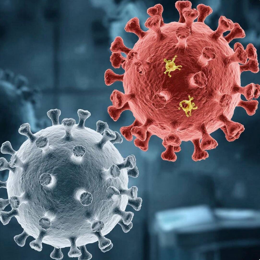 Столько у них есть .. отмычек к нашей имунной системе, столько действенных механизмов вскрытия защиты, а мы? Что можем?