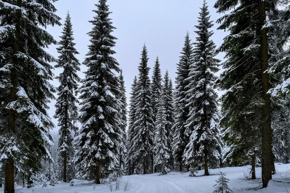    Фото: сгенерировано нейросетью