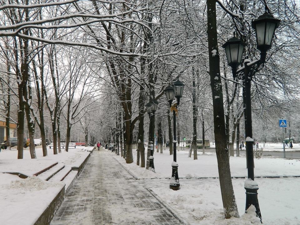    Фото: медиасток.рф