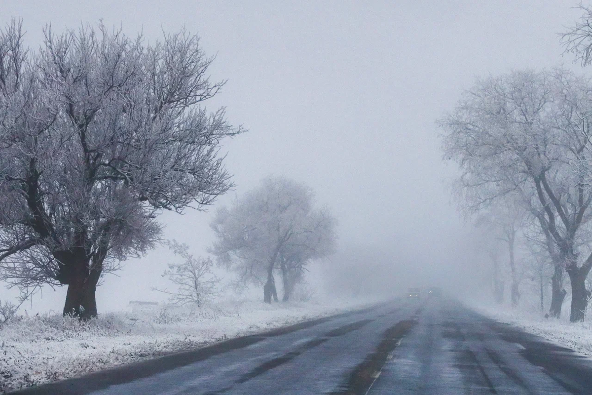    Фото: ТРК «Таврия»