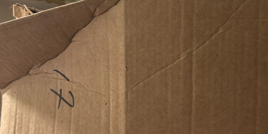 Части котиков, котики парочками и живая шляпа Сиквел