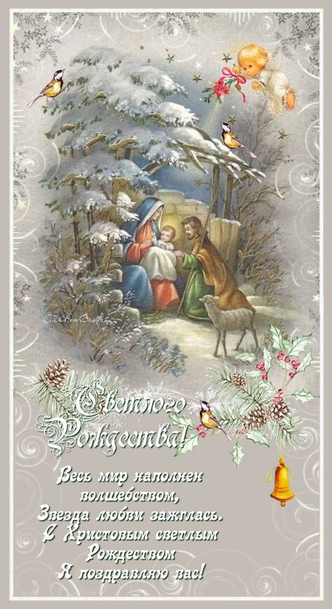 Картинка из интернета 