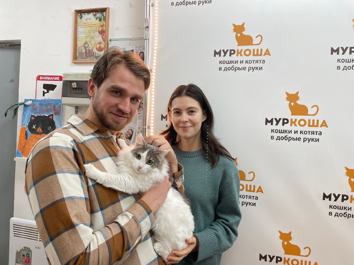 Ласковая Поларис обретает дом. 