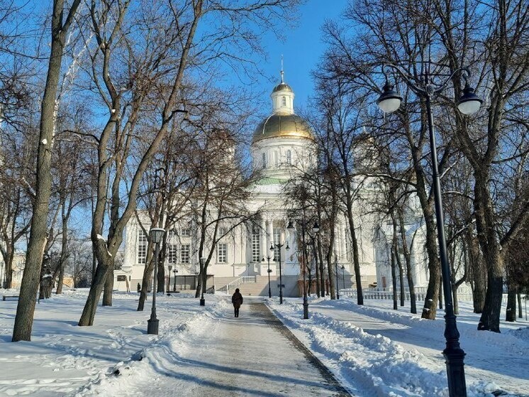     Фото: МК в Пензе