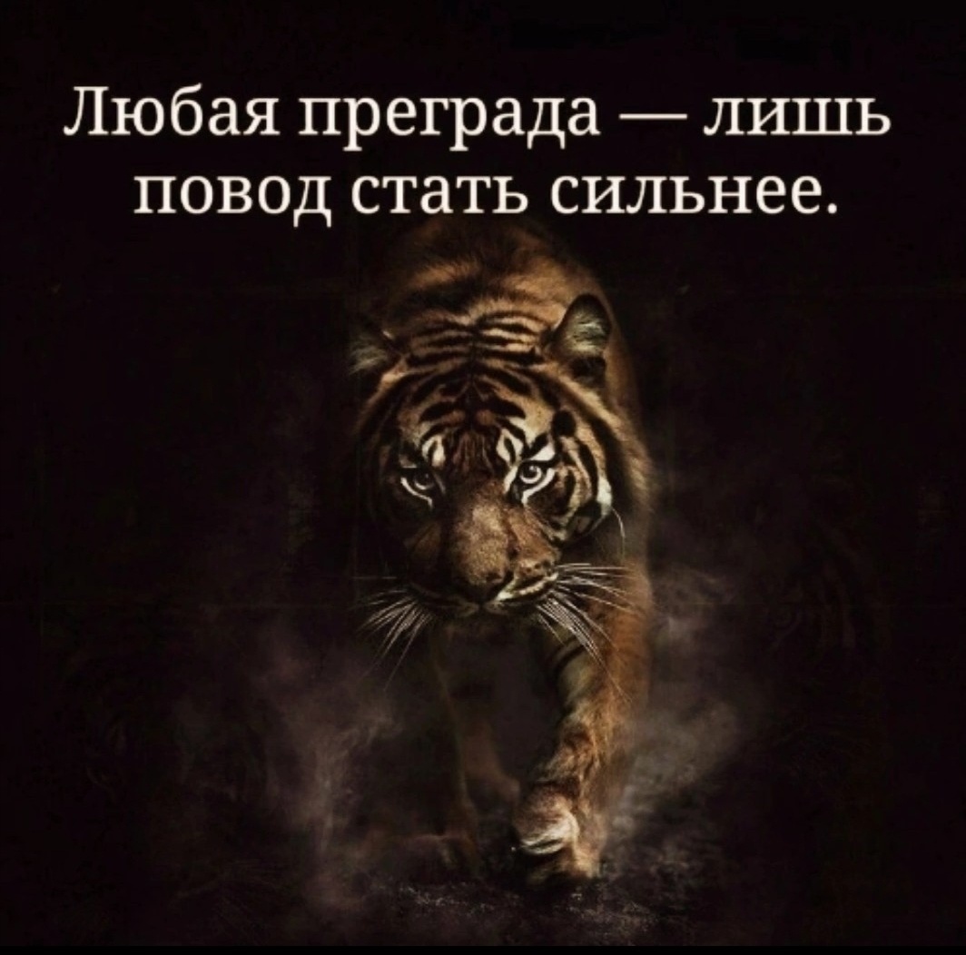 картинка с открытых источников сети интернет