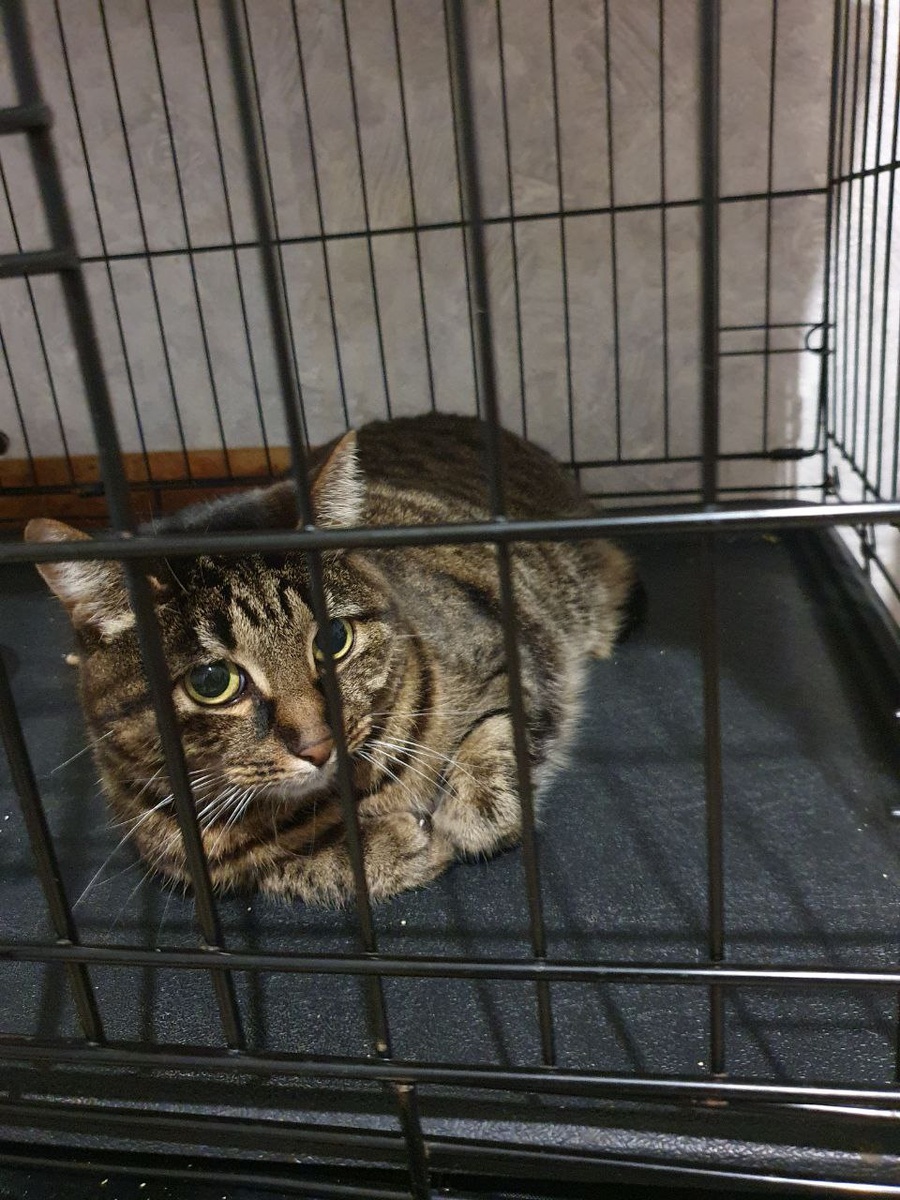 Да, если честно, первое время находиться тут было боязно