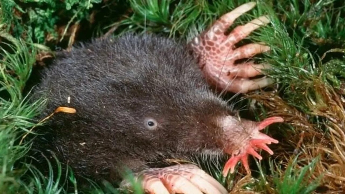 Фотография из интернета