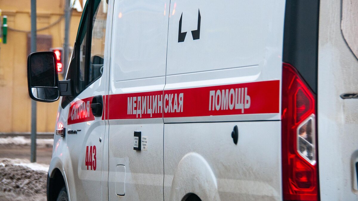    Фото: Svetlana Vozmilova/globallookpress.com