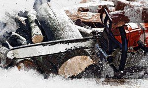 Изображение от aleksandarlittlewolf на Freepik  📷
