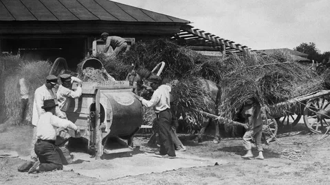 фото из инета