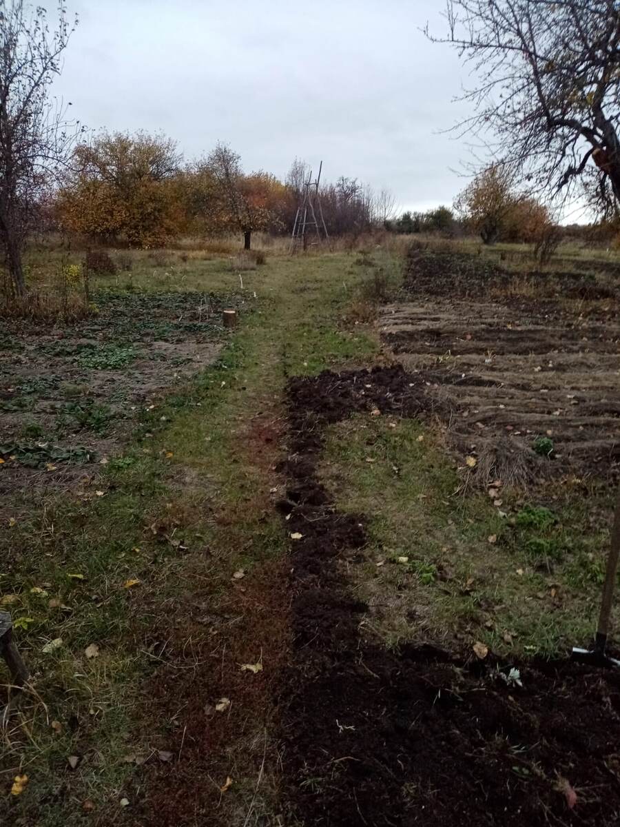 Грустный октябрь 2025 г.