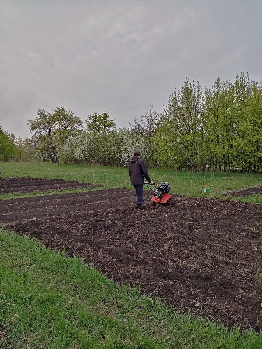Первая вспашка в2024 году.