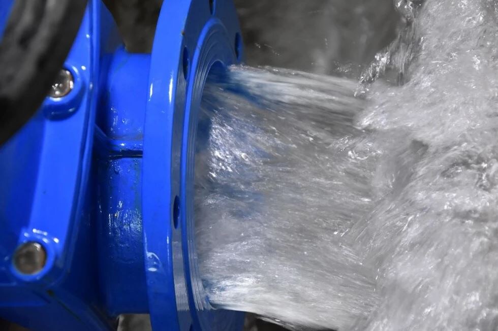    ФОТО: grad.kostroma.gov.ru