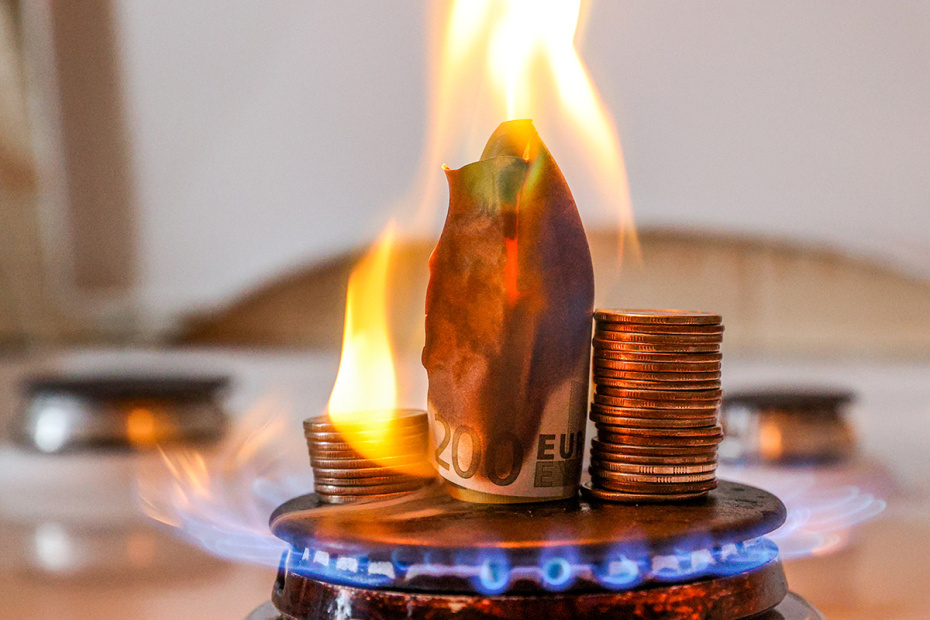    Сергей Булкин/NEWS.ru