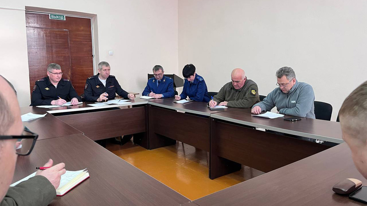   @sk_sitnikov / Telegram