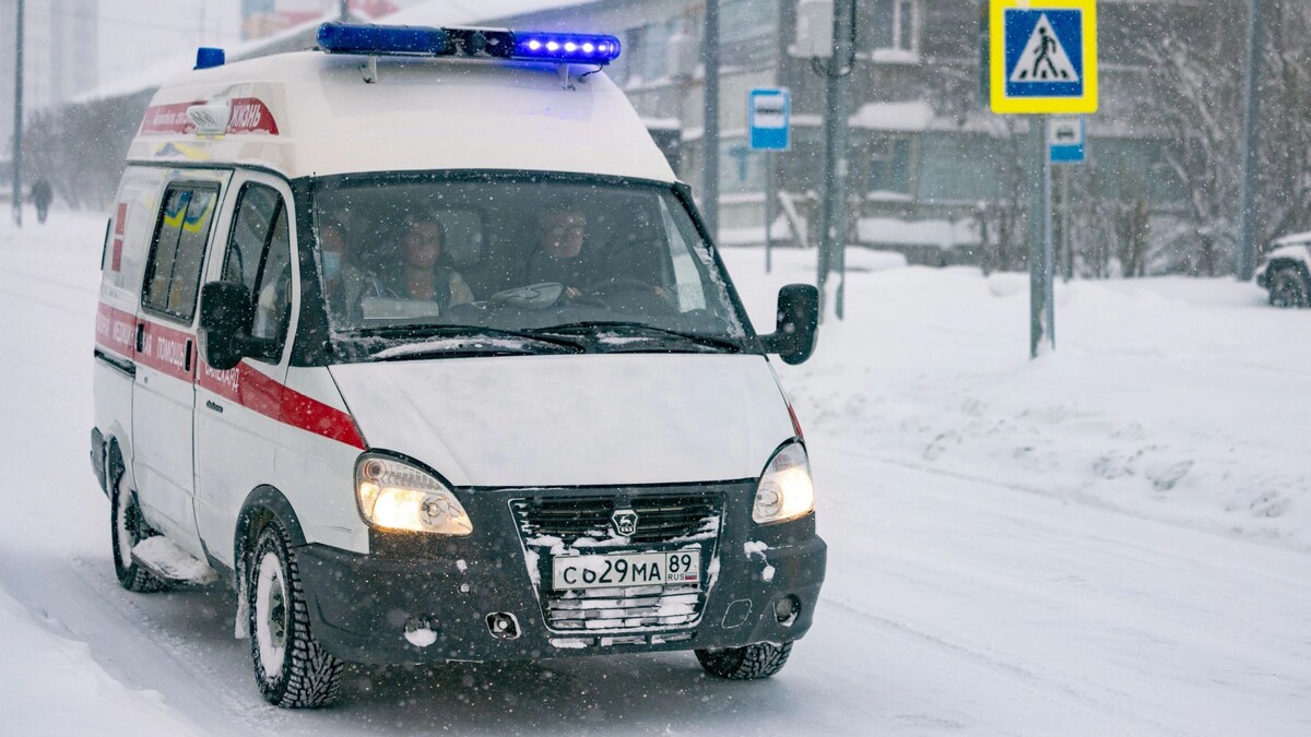    Фото: Сергей Зубков/«Ямал-Медиа»
