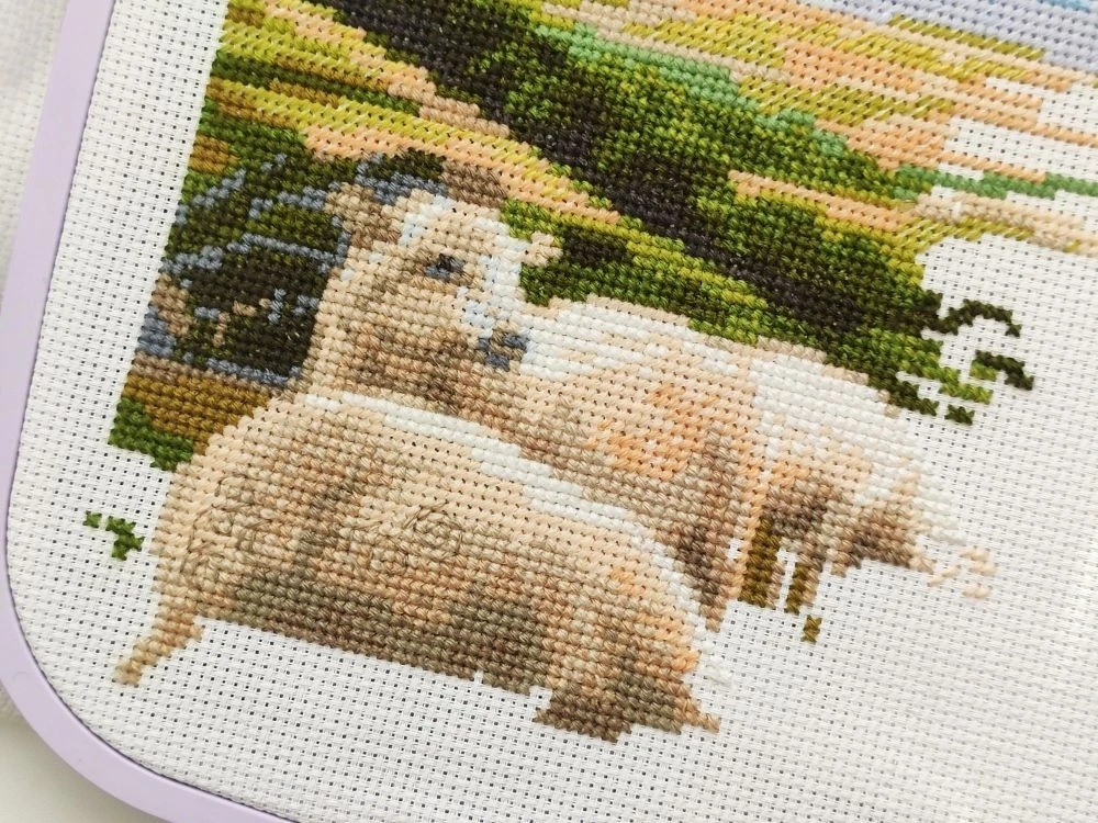 Фото автора, 1 января 2026 год