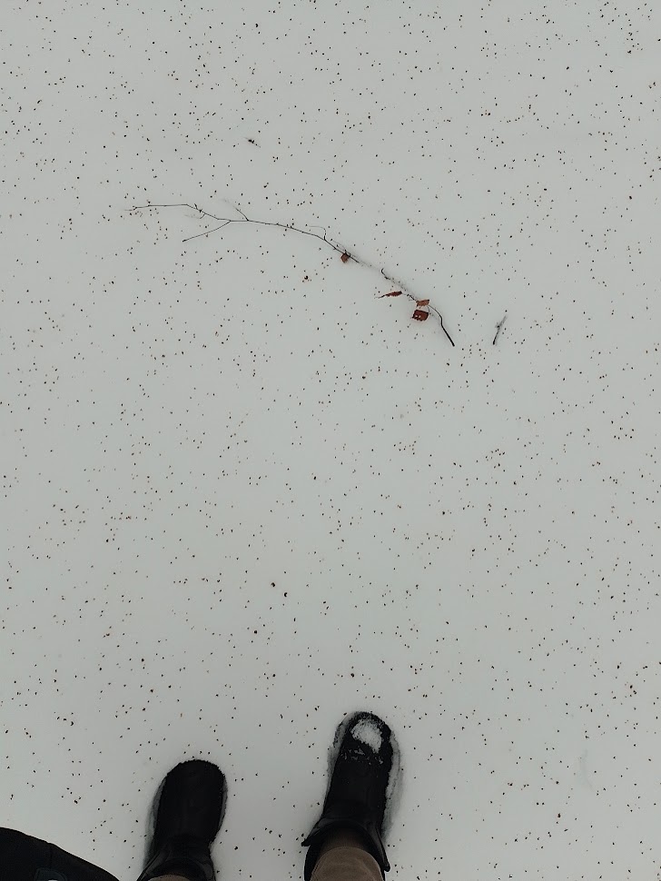 Фото автора.