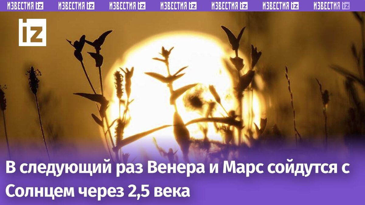 Фото: Global Look Press/Julian Stratenschulte