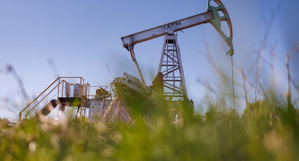    Sergey Elagin/Business Online / www.globallookpress.com