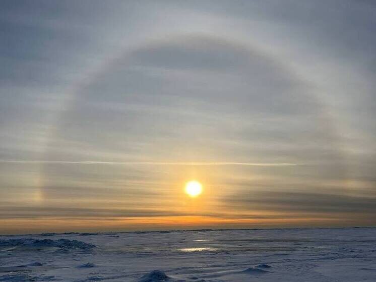     Фото: Читатель «МК в Питере»