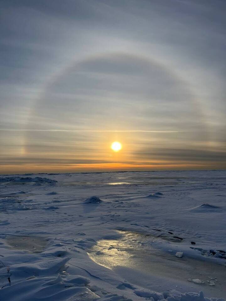     Фото: Читатель «МК в Питере»
