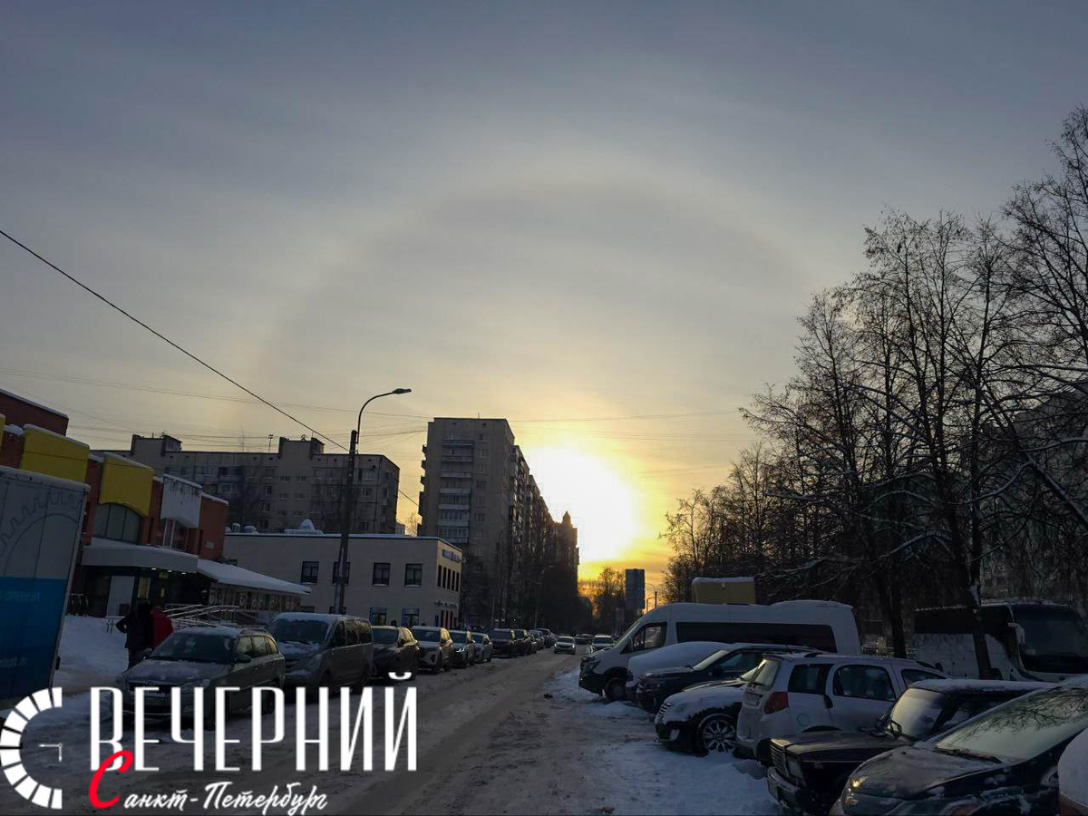 Фото: Олег Золото / «Петербургский дневник»