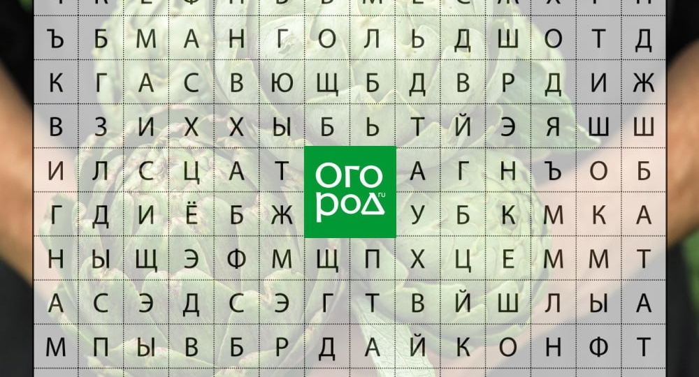 Какие из зашифрованных в кроссворде необычных культур пробовали вырастить у себя на даче