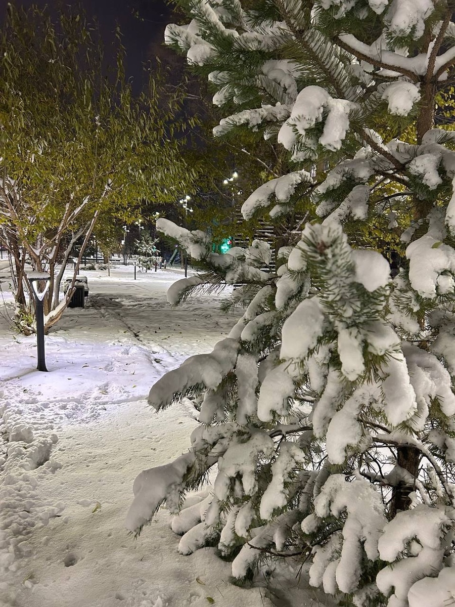    Фото: Архив редакции