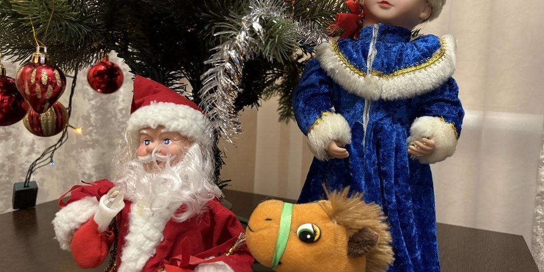 Запорожские «Волонтёры Победы» поздравили ветеранов в рамках новогодней акции