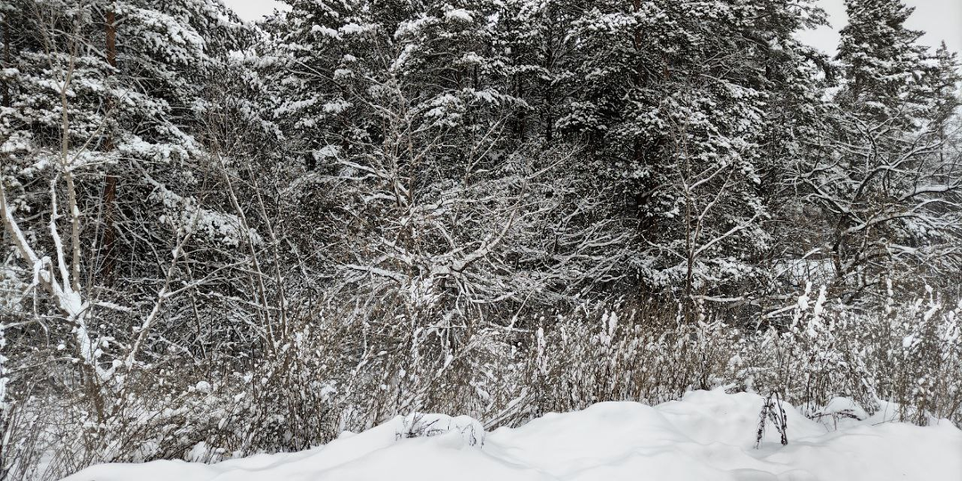 Муж-недотёпа. Глава 16.