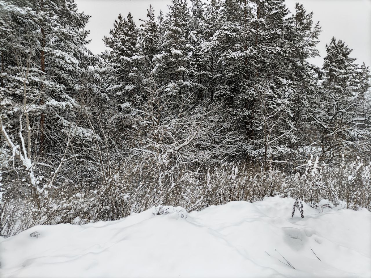 Фото автора.