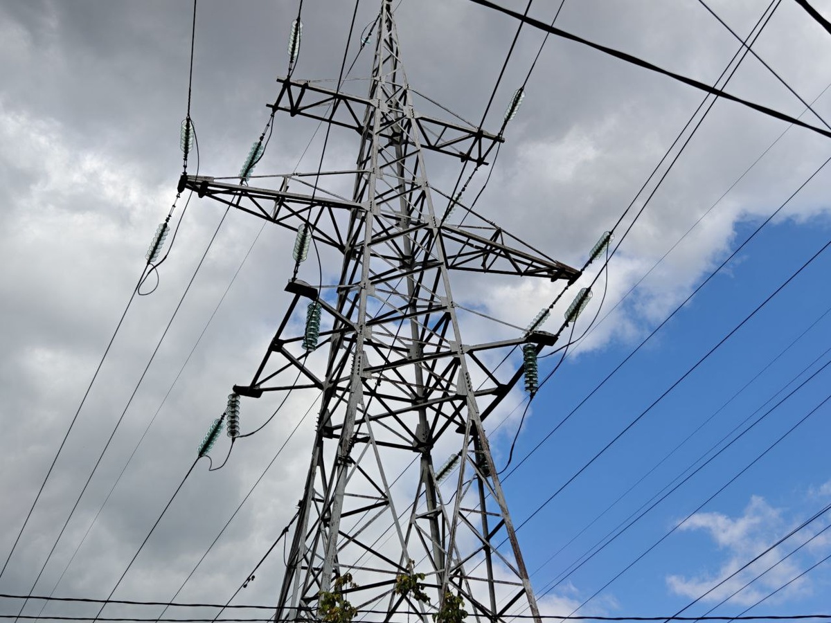    Фото: Юрий Серебренников/BFM Кубань