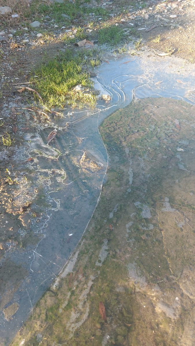 Даже люжи замерзли.