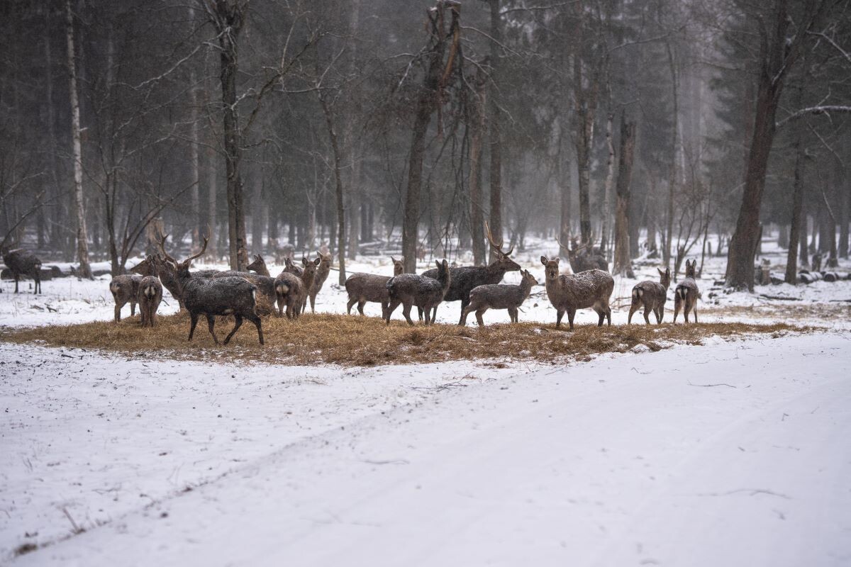 Фото: Александр Плонский / «Агроэксперт»
