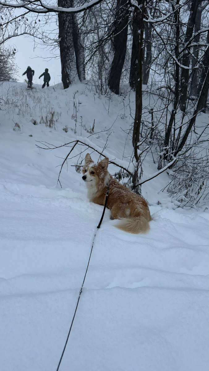 Фото автора канала 