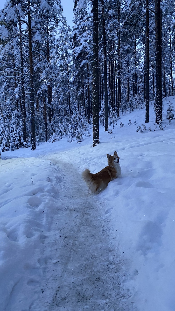 Фото автора канала